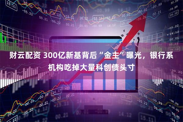 财云配资 300亿新基背后“金主”曝光，银行系机构吃掉大量科创债头寸