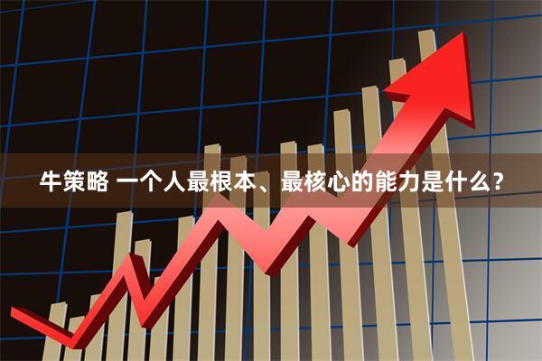牛策略 一个人最根本、最核心的能力是什么？